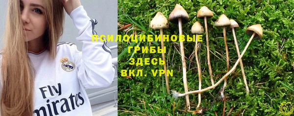 ALPHA PVP Аркадак