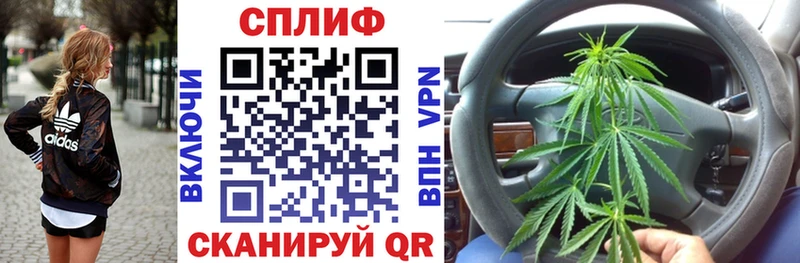 Бошки Шишки сатива  магазин продажи наркотиков  Усть-Лабинск 